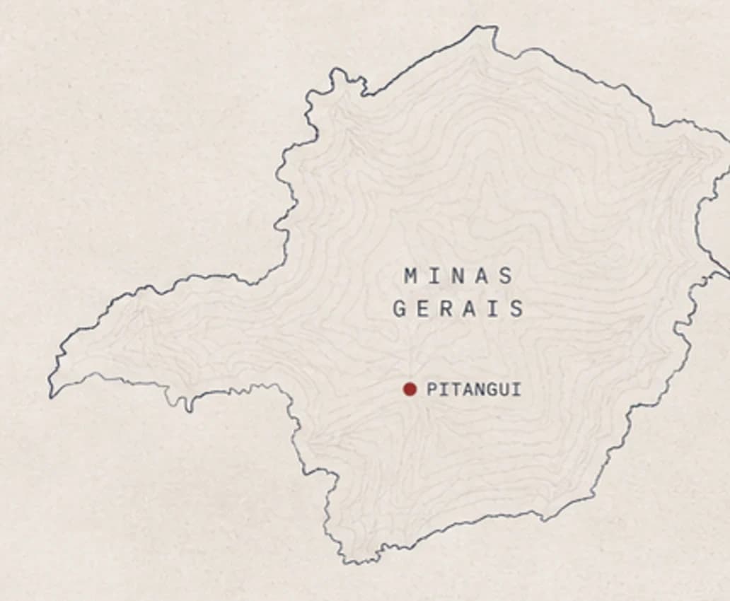 Mapa de Minas Gerais com Pitangui destacada